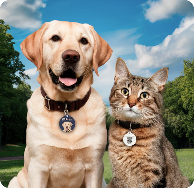 A friendly dog and cat together